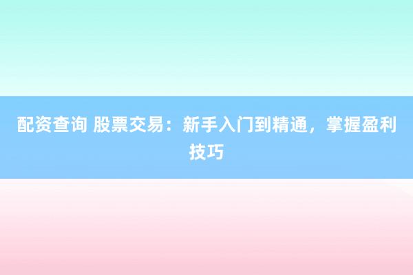 配资查询 股票交易：新手入门到精通，掌握盈利技巧