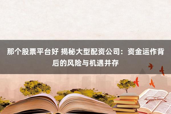 那个股票平台好 揭秘大型配资公司：资金运作背后的风险与机遇并存
