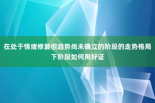在处于情绪修复但趋势尚未确立的阶段的走势格局下阶段如何用好证