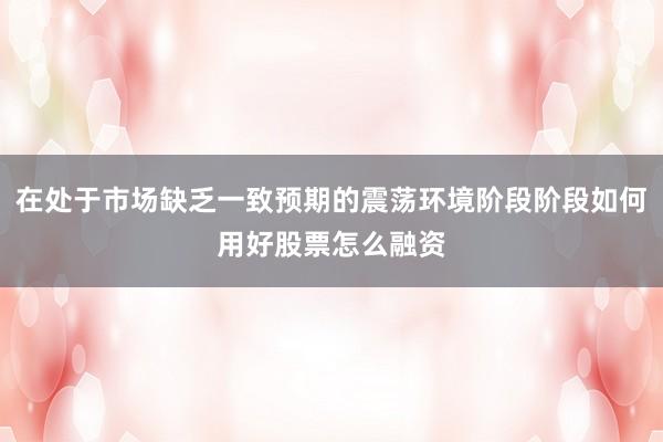 在处于市场缺乏一致预期的震荡环境阶段阶段如何用好股票怎么融资